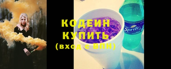 индика Баксан