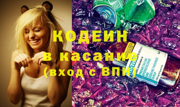 индика Баксан