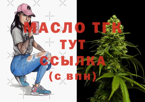 индика Баксан