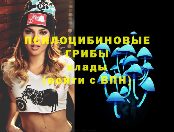 индика Баксан