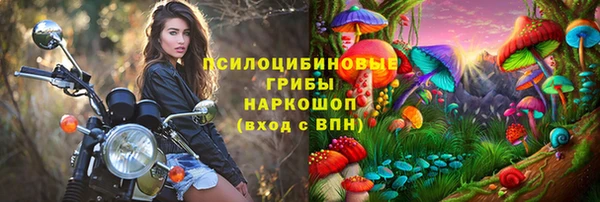 индика Баксан
