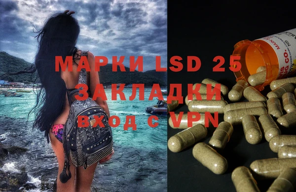 индика Баксан