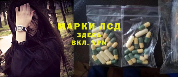 индика Баксан